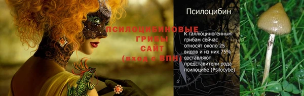 кокаин колумбия Лабытнанги