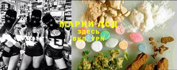 спайс Ладушкин